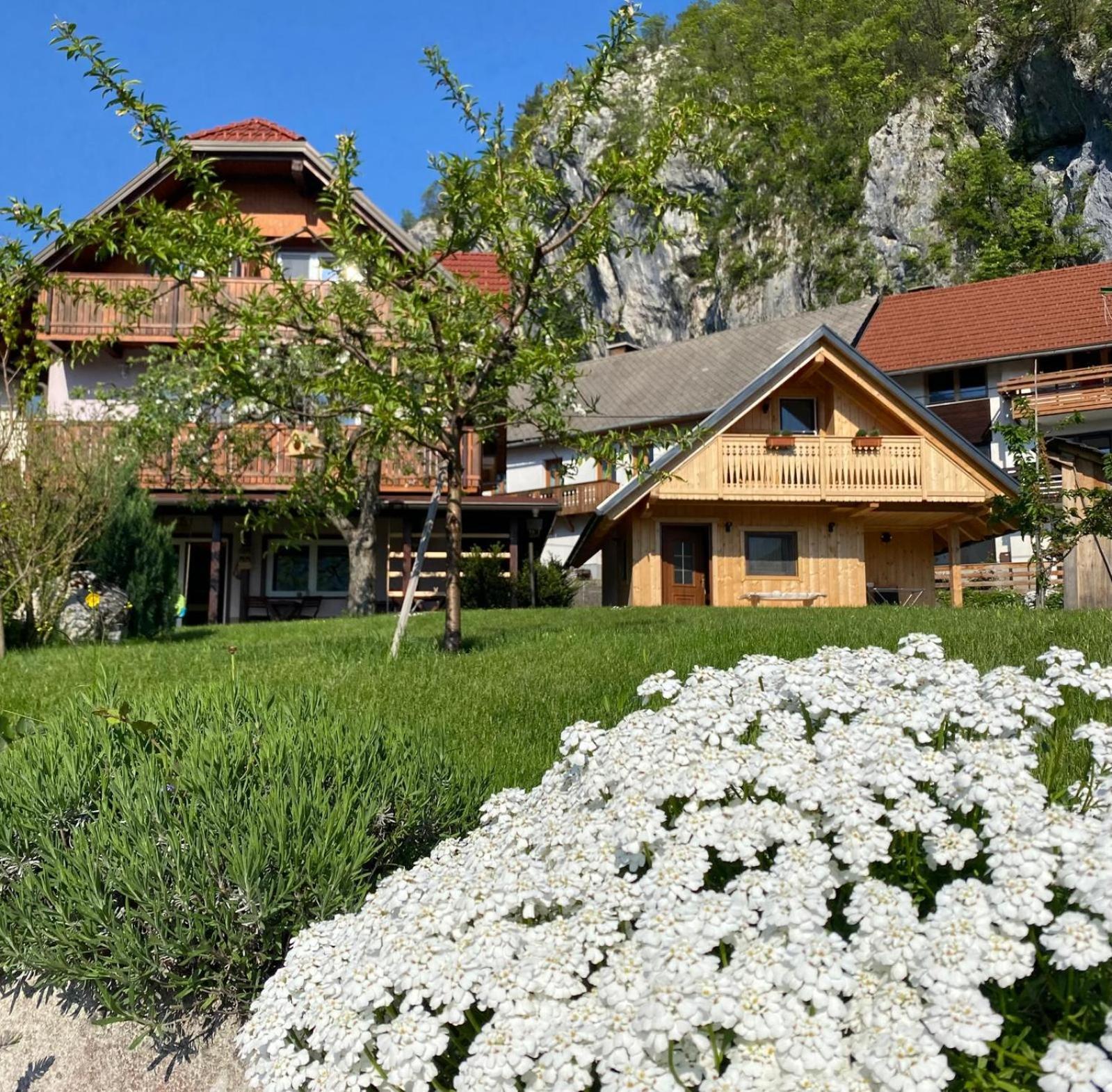Rooms Ravnik Блед Экстерьер фото